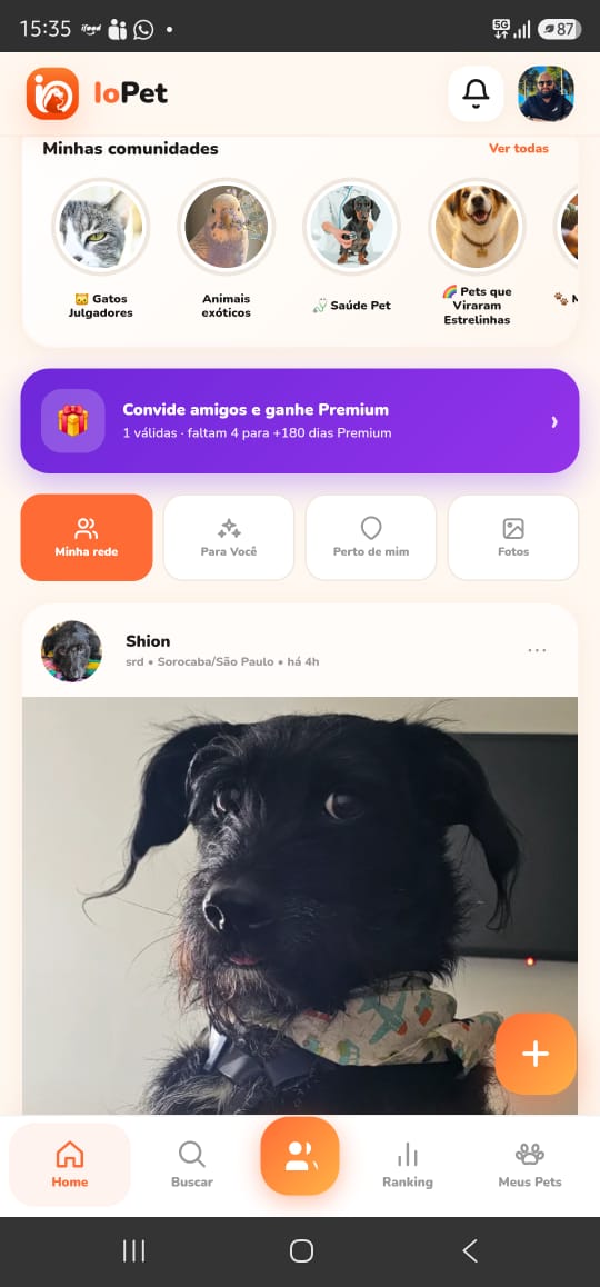 Tela inicial do aplicativo IoPet com feed de momentos